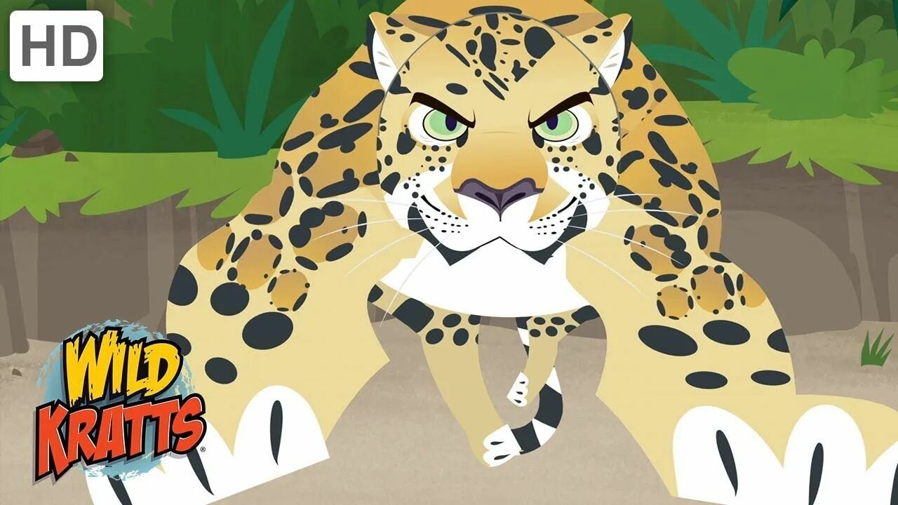 Kids box wild animals. Wild Kratts. Wild Kratts animals. Wild Kratts звери. Wild Kratts Bandits.