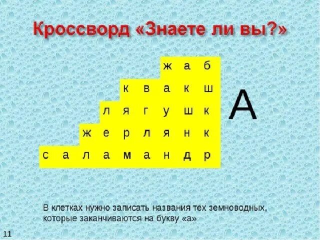 Пресмыкающееся сканворд. Кроссворд на тему земноводные. Кроссворд про земноводных. Кроссворд на тему амфибии. Кроссворд по классу земноводные.