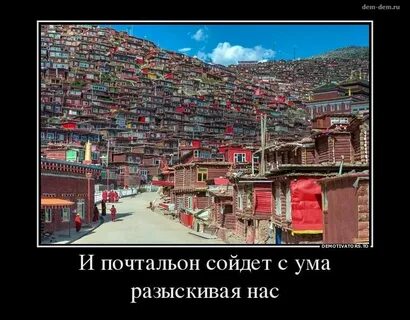 Город сошел с ума