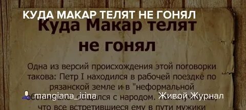 Куда телят не гонял