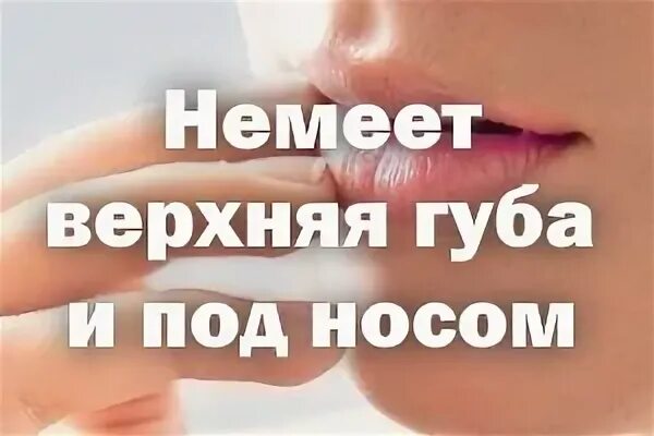 Немеет нижняя губа