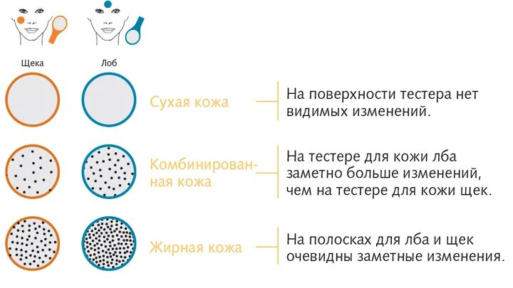 Тест на определение типа кожи. Тест на определение типа кожи