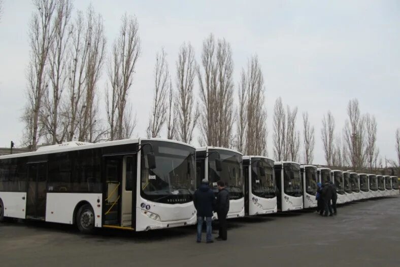 Волгабас автобус Липецк. Автобус марки Волгабас 527002. Новые автобусы VOLGABUS. Новые Липецкие автобусы. Электробусы в липецке