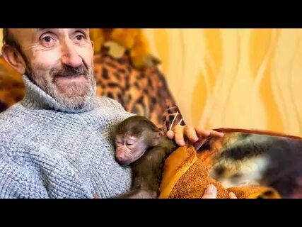 Люська и компания тайган дзен