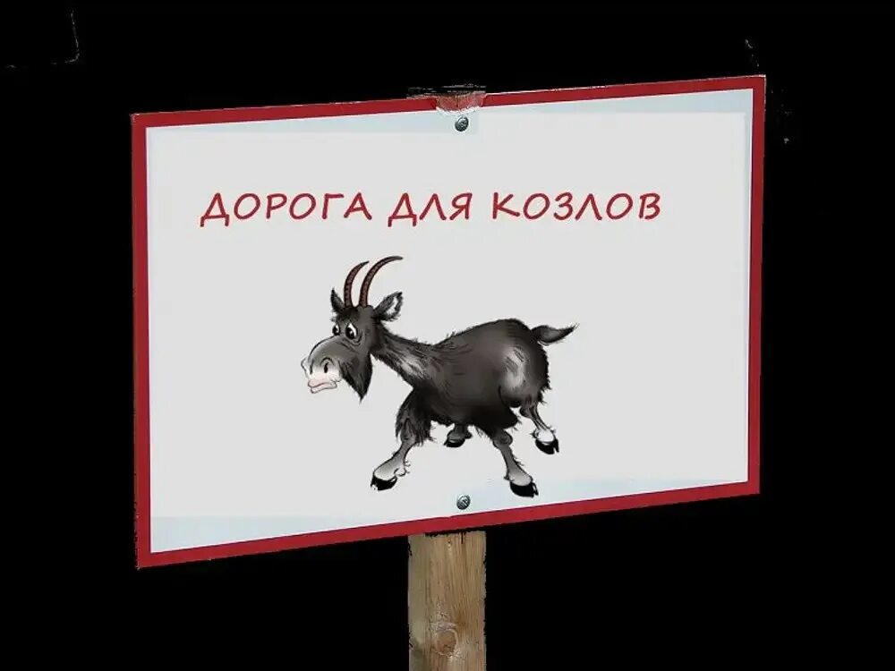 Ты козел. Козел надпись. казлы надпись. козлина надпись. табличка с козлом.