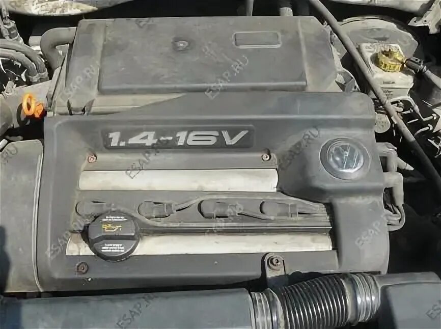 Гольф 4 1.4 akq. Гольф 4 мотор 1.4. volkswagen golf 4 1.4 двигатель. мотор 1 и 4 на фольксваген гольф 4. vw golf 4 1.4 16v двигатель.