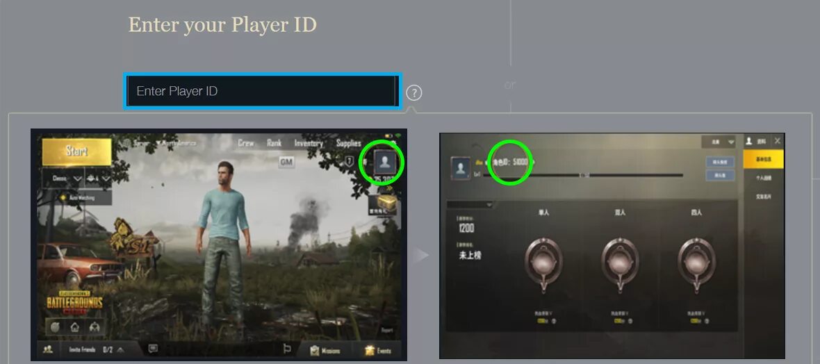 Id player net
