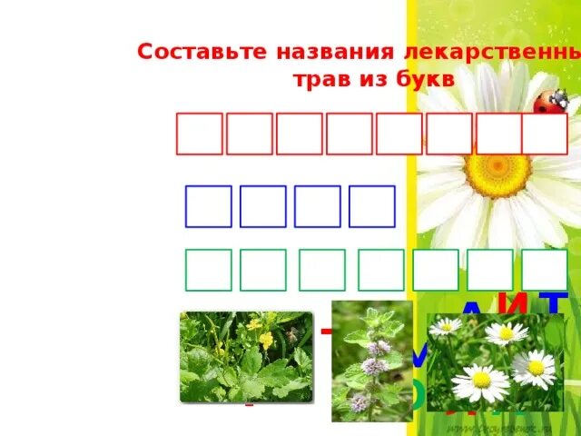 Буквы из растений. Название растения из 4 букв. Найти названия растений из букв. Как называется цветок состоит из трех букв.