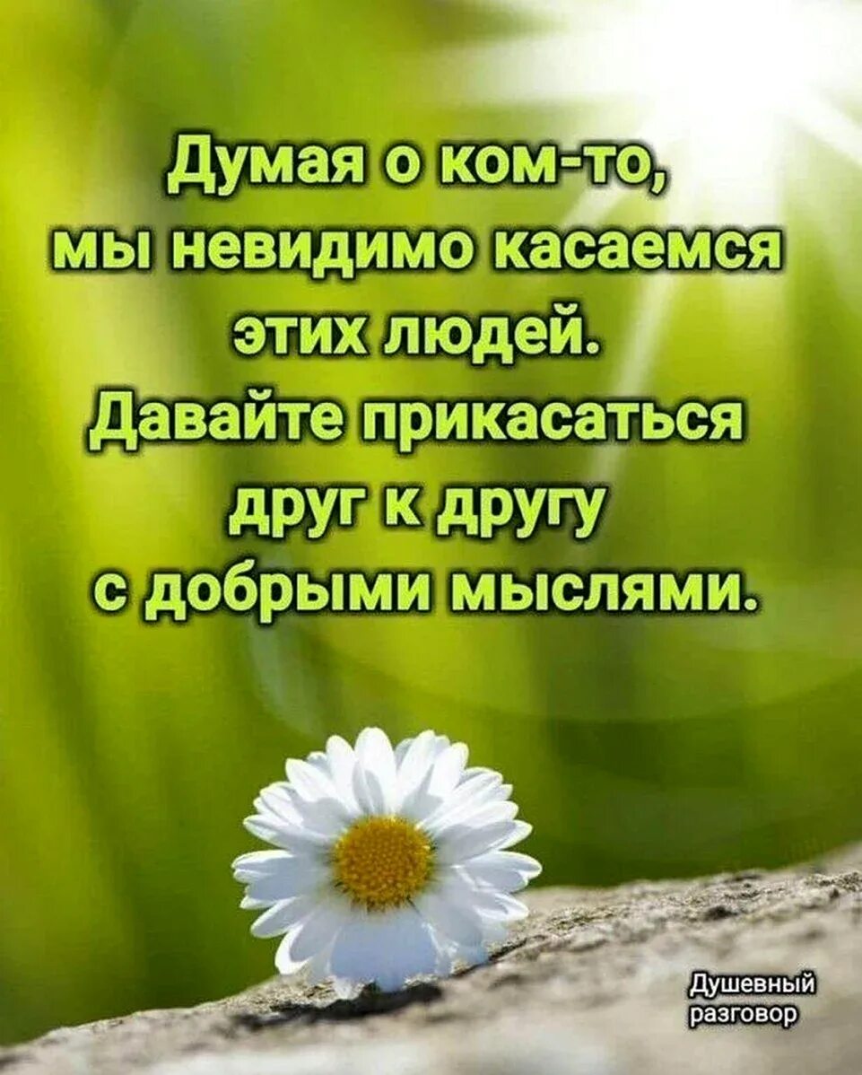 Хорошего дня мудрости. Пожелания спокойствия и душевного равновесия. Доброе утро Мудрые мысли. Мудрые мысли про утро. Добрые пожелания.