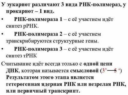 Функции рнк полимеразы