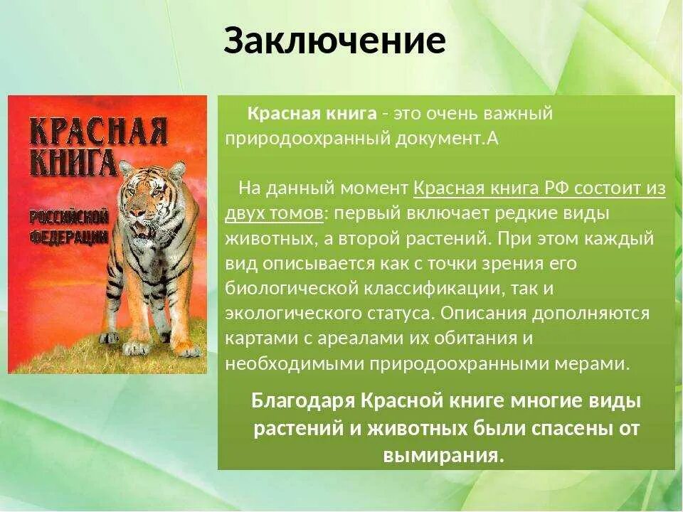 Доклад по окружаемому миру 4 класс