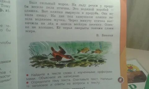 Прочитайте озаглавьте текст мороз снег укрыл дорожки