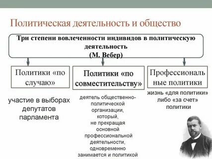 Профессиональный политик пример