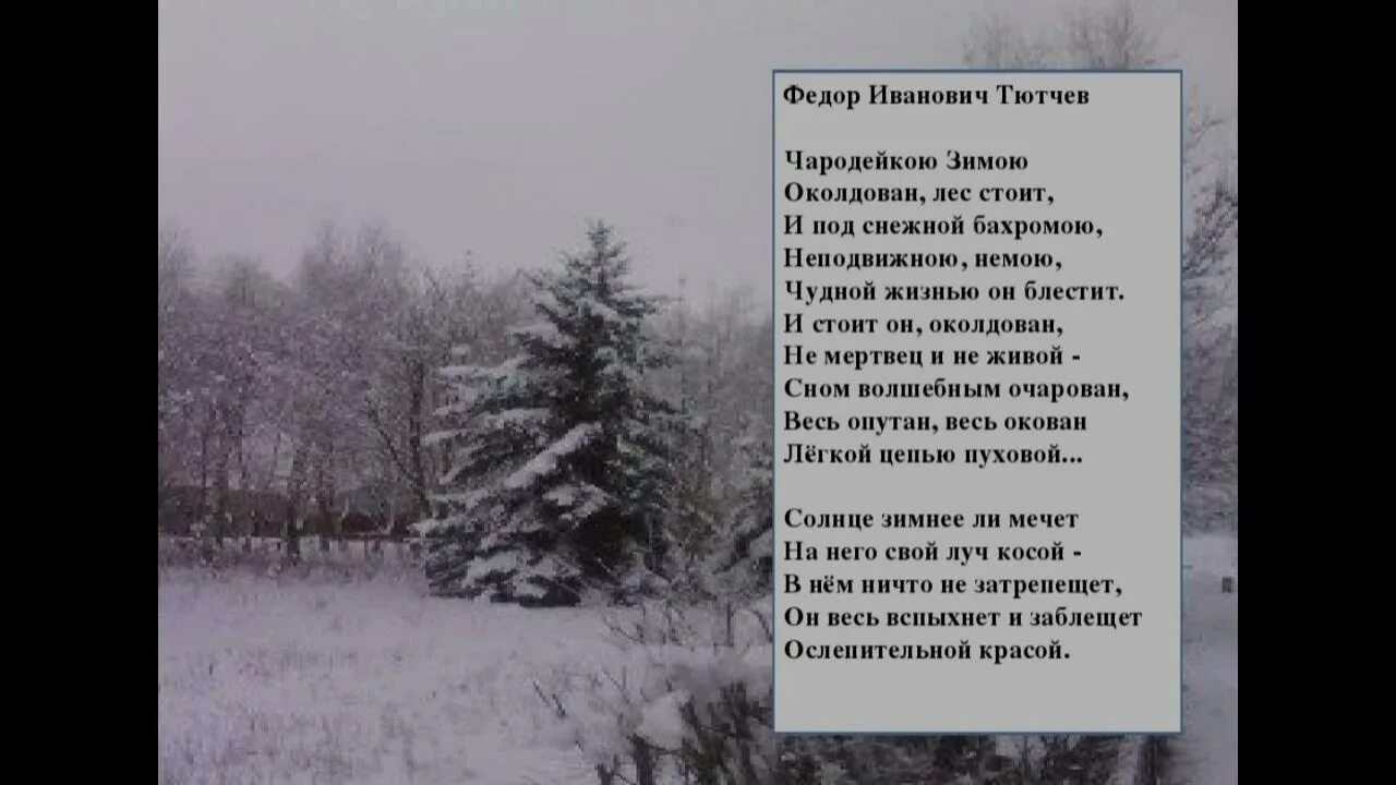 Стих тютчева про зиму. Чародейка стих Тютчев. Тютчев Чародейкою зимою. Фёдор Тютчев Чародейкою зимою околдован. Стихотворение Чародейкою зимою Тютчев.