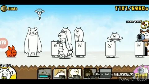 Level cat