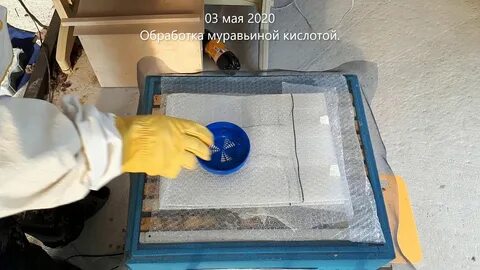 Обработка пчел муравьиной кислотой