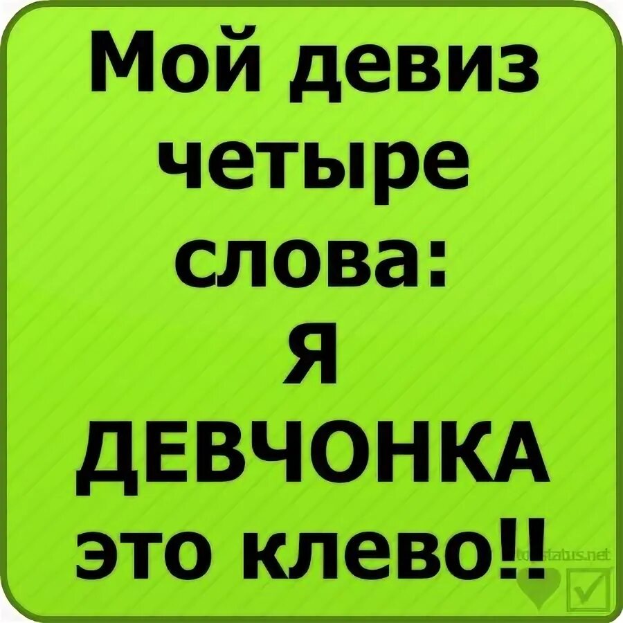 Речевка для девочек. Смешные девизы по жизни. Девиз на день девочек. Прикольные девизы для девочек. Девиз для девушки.