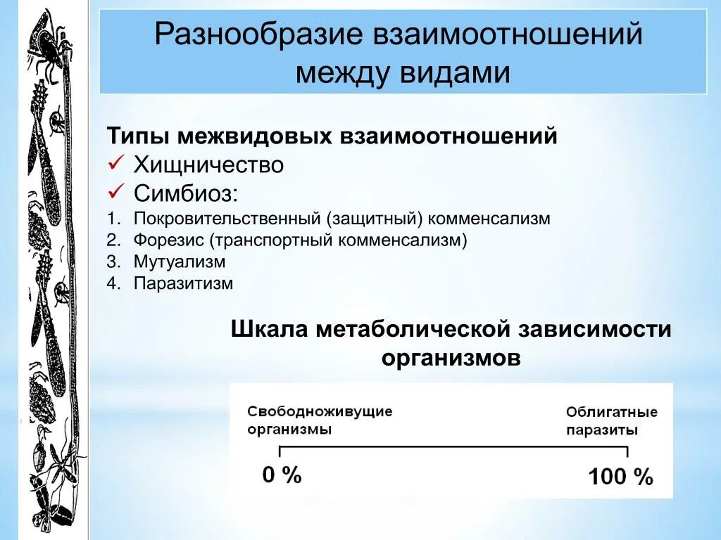 Эволюция паразитизма. Происхождение и классификация паразитизма. Происхождение паразитизма. Происхождение и Эволюция паразитизма.