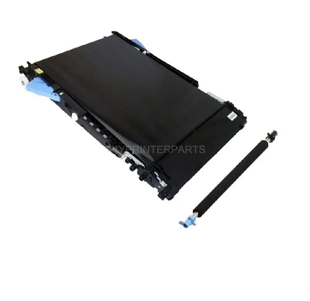 Rm a11 pbt
