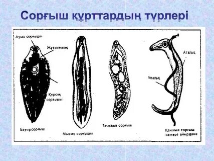 Секс порно видеодан есін жоғалту