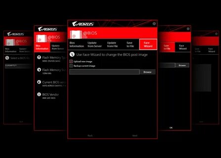 Bios 470