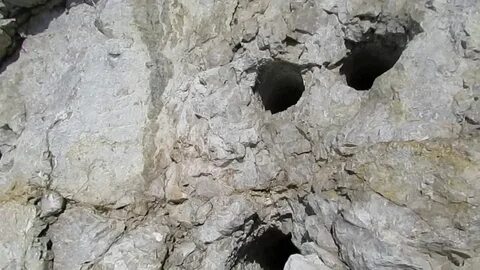 Загадка стоит гора в ней дыра