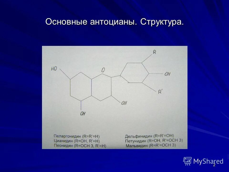 Синтез антоцианов