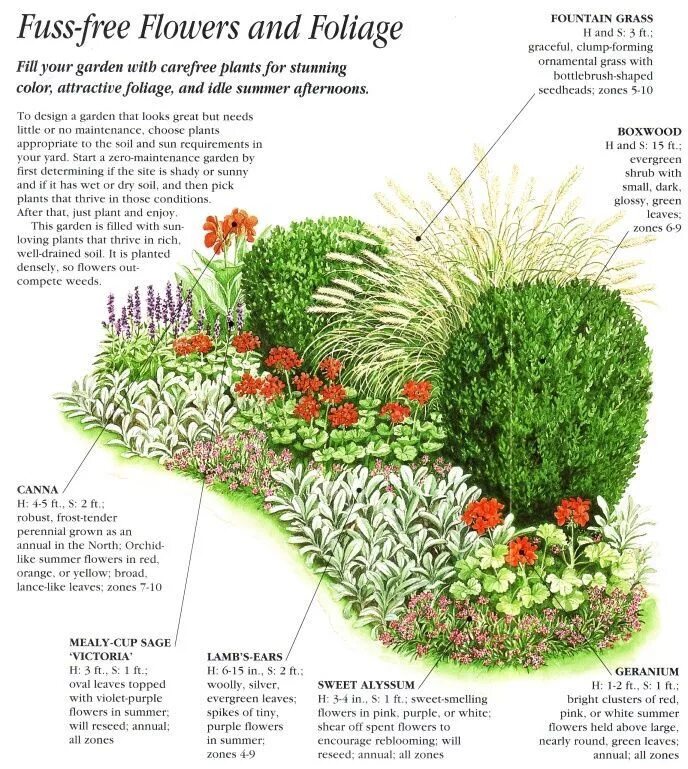 Ландшафтный набор № 5 Garden landscape design, Landscaping plants, Garden planni