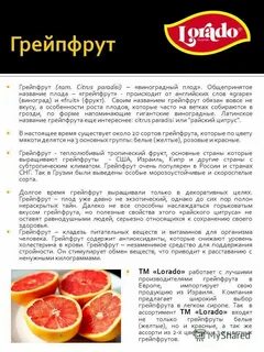 Грейпфрут при диабете 2 типа польза