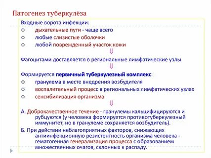 Туберкулез этиология