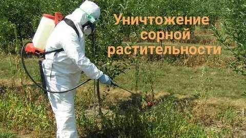 Гербициды для деревьев