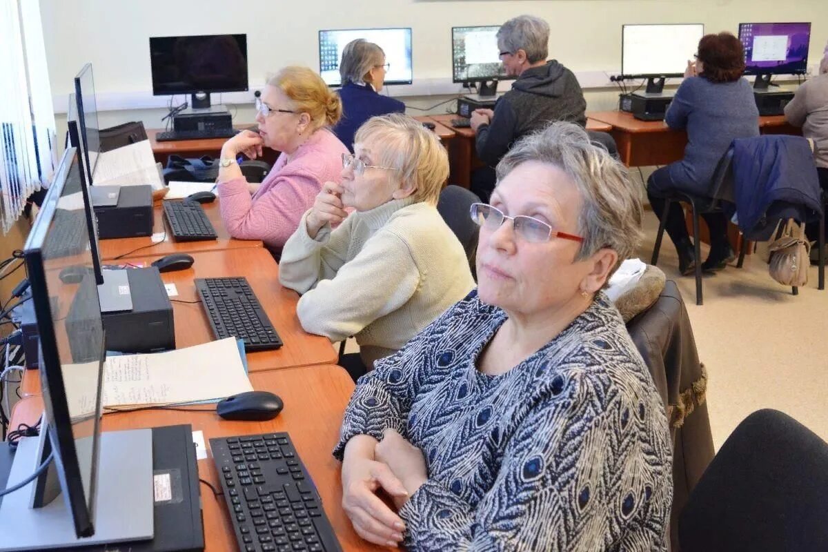 Сайт про курсы. Компьютерная грамотность для пожилых. Информационные технологии для пожилых. Компьютерный класс для пенсионеров. Урок компьютерной грамотности для пенсионеров.