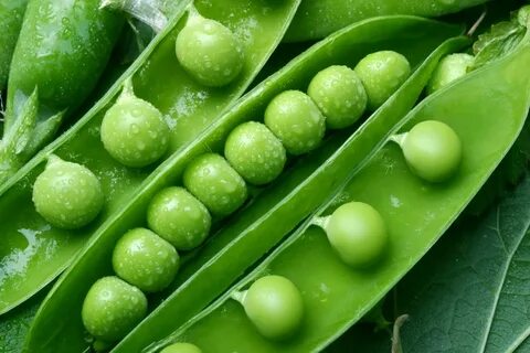 Peas of me