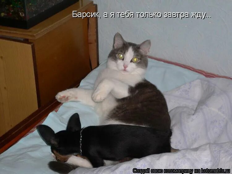 Ждем завтра картинки. Ждем завтра картинки