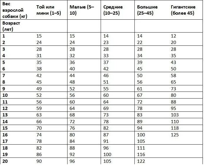 Возраст собаки по человеческим меркам таблица по годам. 4 Месяца собаке по человеческим меркам это сколько лет таблица. Возраст собак на человеческий таблица. Собаке 12 лет сколько по человеческим меркам таблица.