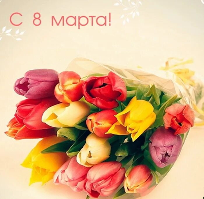 Поздравить девушек с международным женским днем. Тюльпаны открытка.