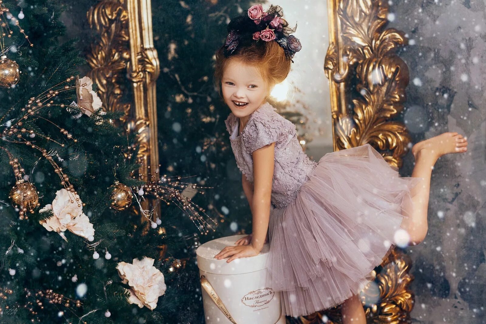 наследник выжанова официальный сайт. наследники выжанова каталог. стефания выжанова липецк. елена выжанова липецк. выжанов наследник выжанова семья.