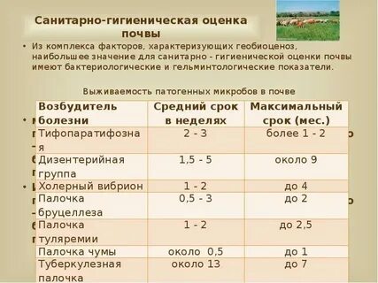 Практическая работа 3 анализ почвы по химии