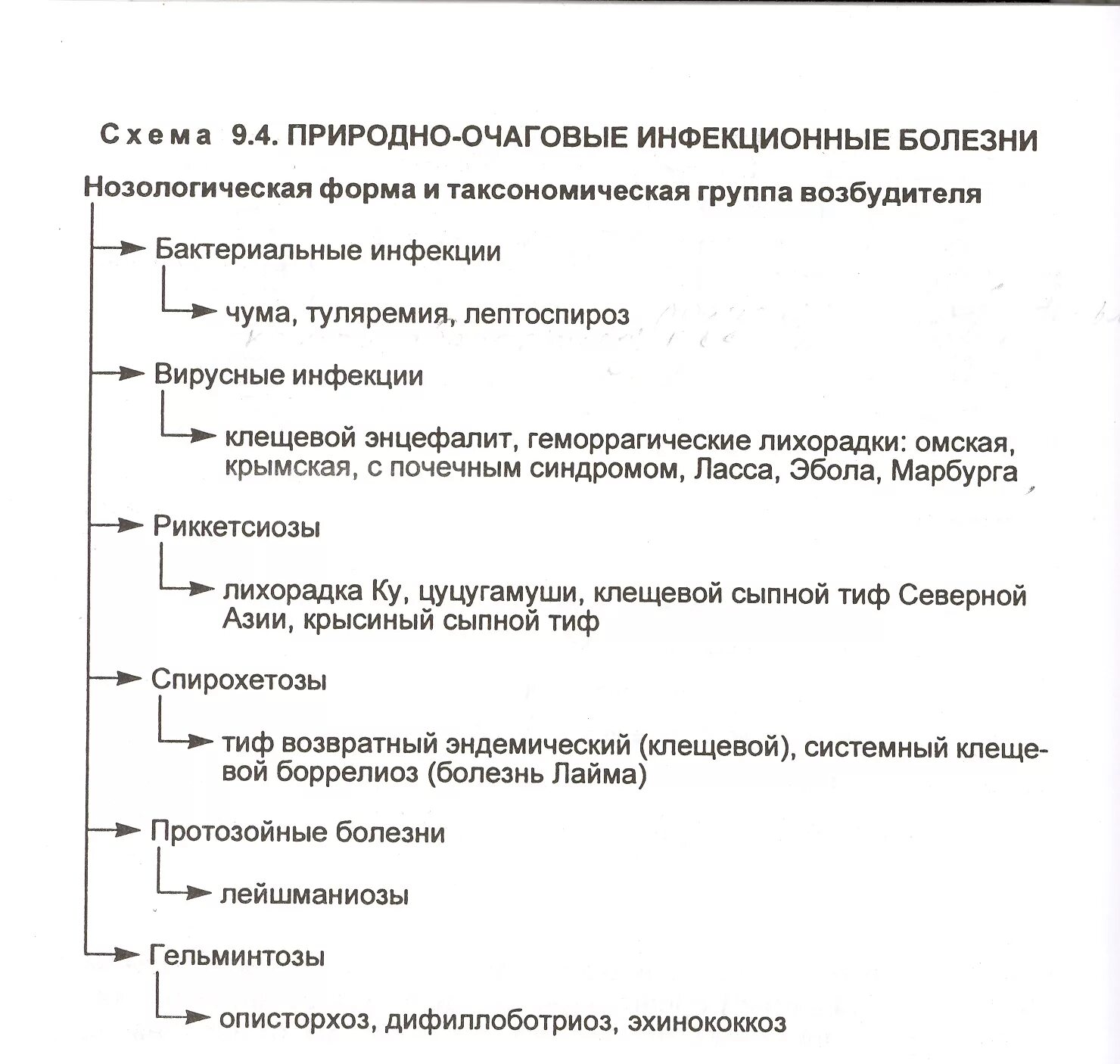 Трансмиссивные очаговые заболевания. Классификация природно очаговых инфекций. Характеристика природно-очаговых инфекций. Характеристика природно очаговых заболеваний. Природные очаги инфекционных заболеваний.