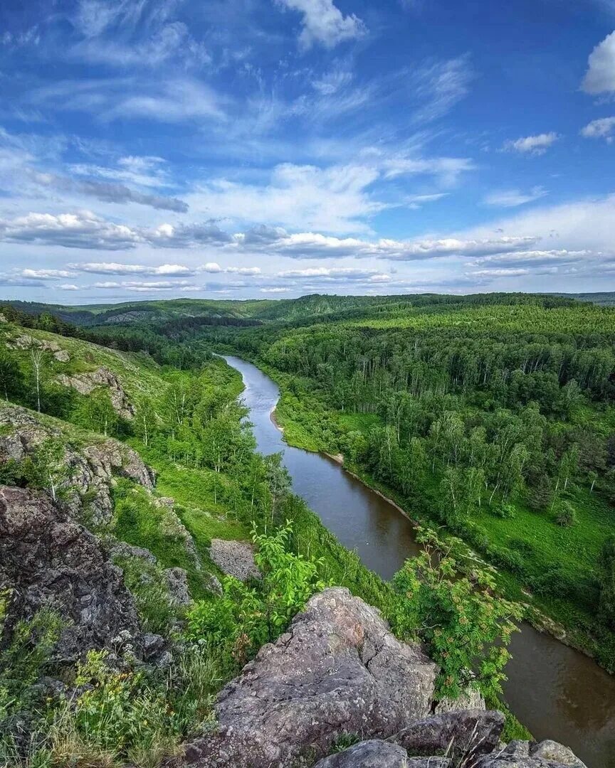 Река искитим. Бердские скалы Новосибирск. Река Бердь Салаирский Кряж. Гора зверобой Бердские скалы. Гора Салаирский Кряж.