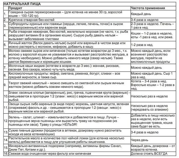 Каким кормом можно кормить котят. График кормления котенка в 2 месяца. Рацион питания котенка 2 месяца. Какие каши можно котятам в 2 месяца. Примерное меню котенка 3 месяца.