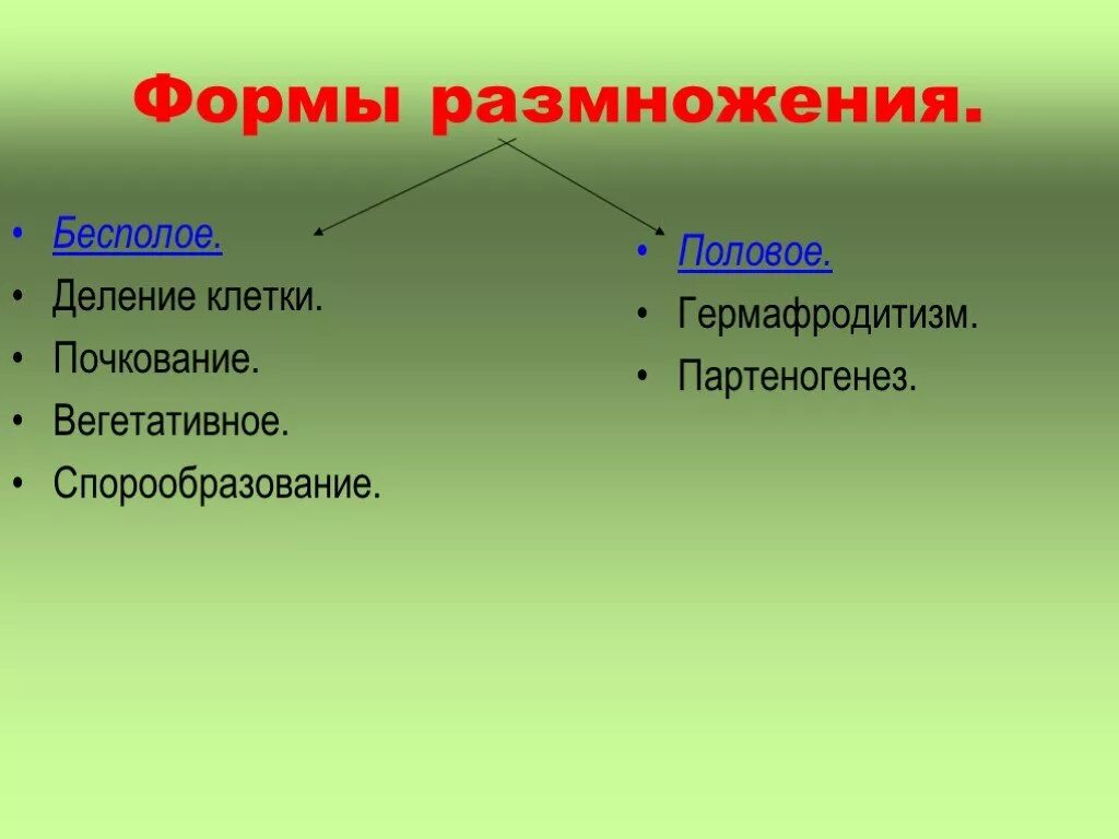 Типы размножения половое и бесполое. Формы размножение бесполое и половое. Виды полового и бесполого размножения. Виды бесполого размножения и полового размножения.