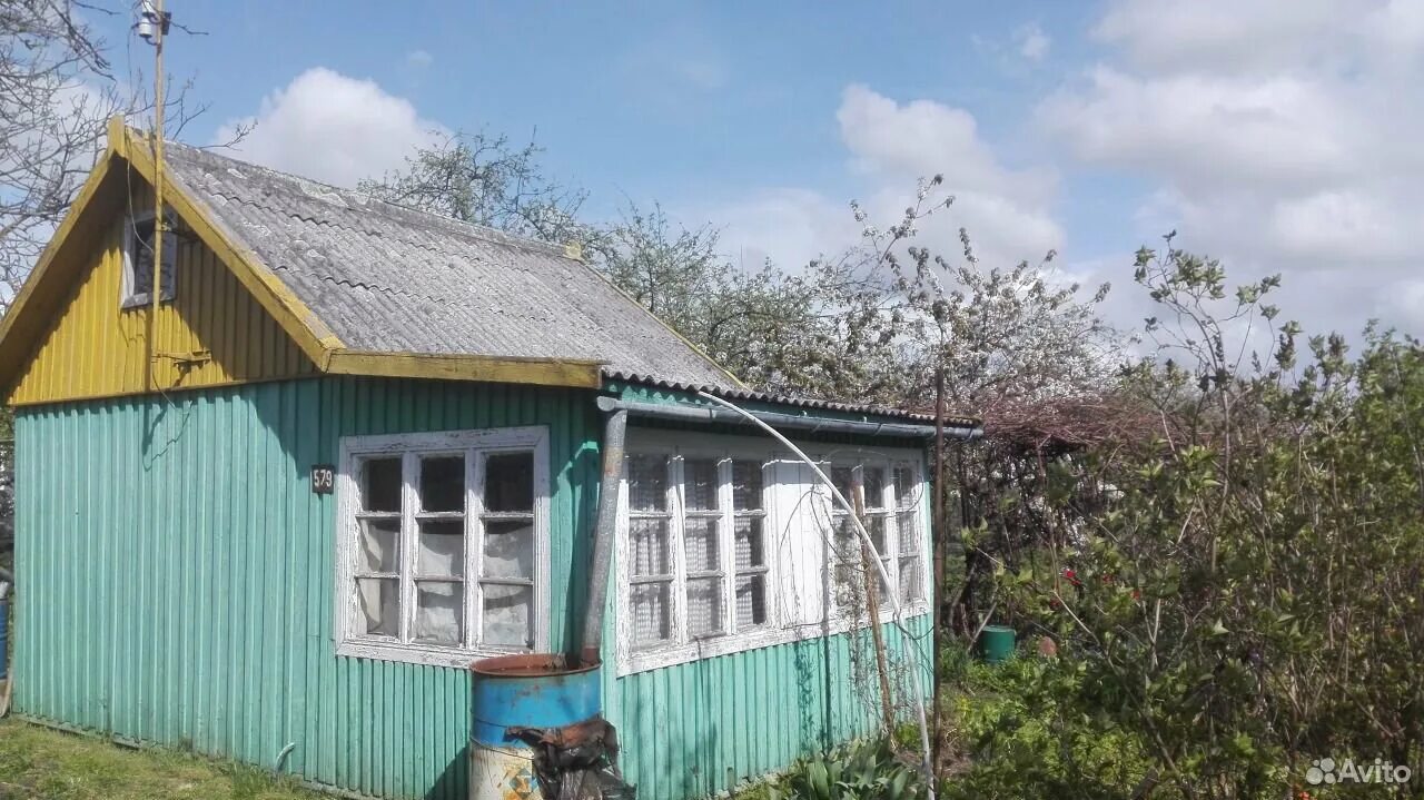 Дача в Советске Калининградской обл. СНТ Дружба Советск Калининградской области. Садовое товарищество Советск Калининградская. Авито Советск Калининградской области. Авито советск калининградской область квартира