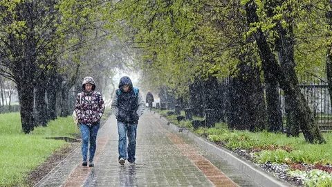 Зимой холодно летом жарко осенью