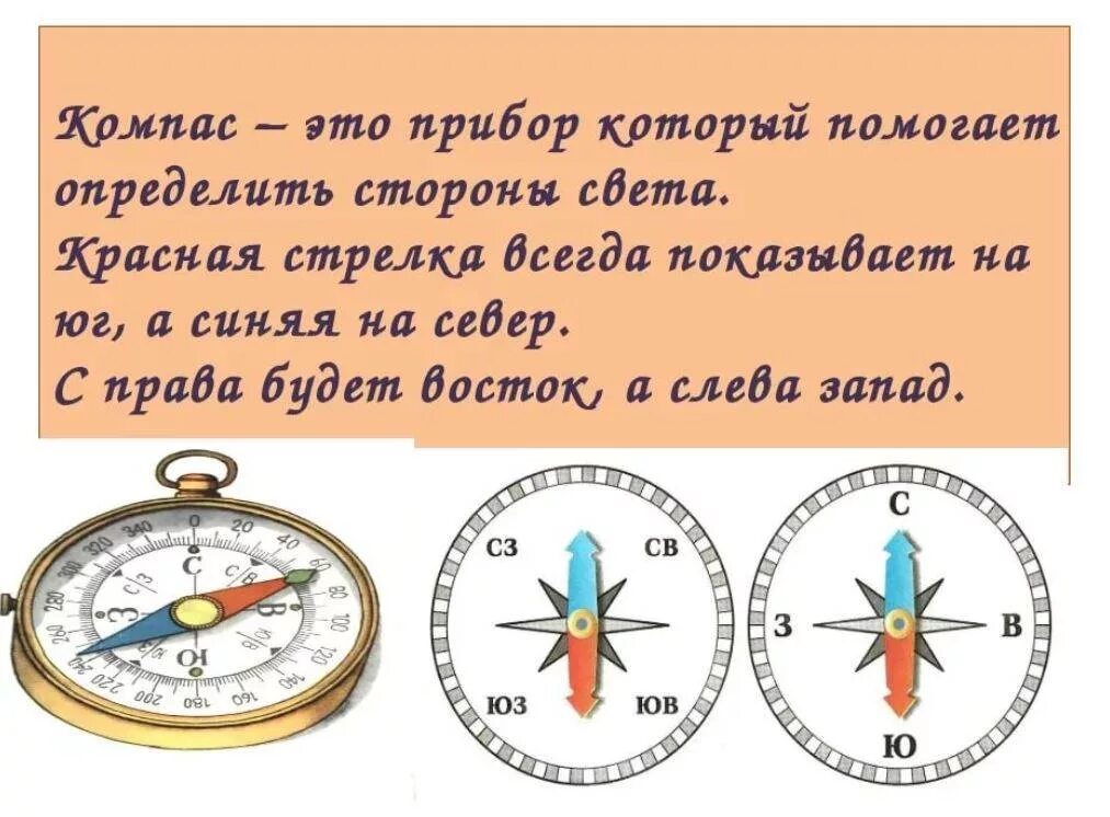 Как правильно определить направление. Стороны света на компасе. определить стороны света. определение сторон света.