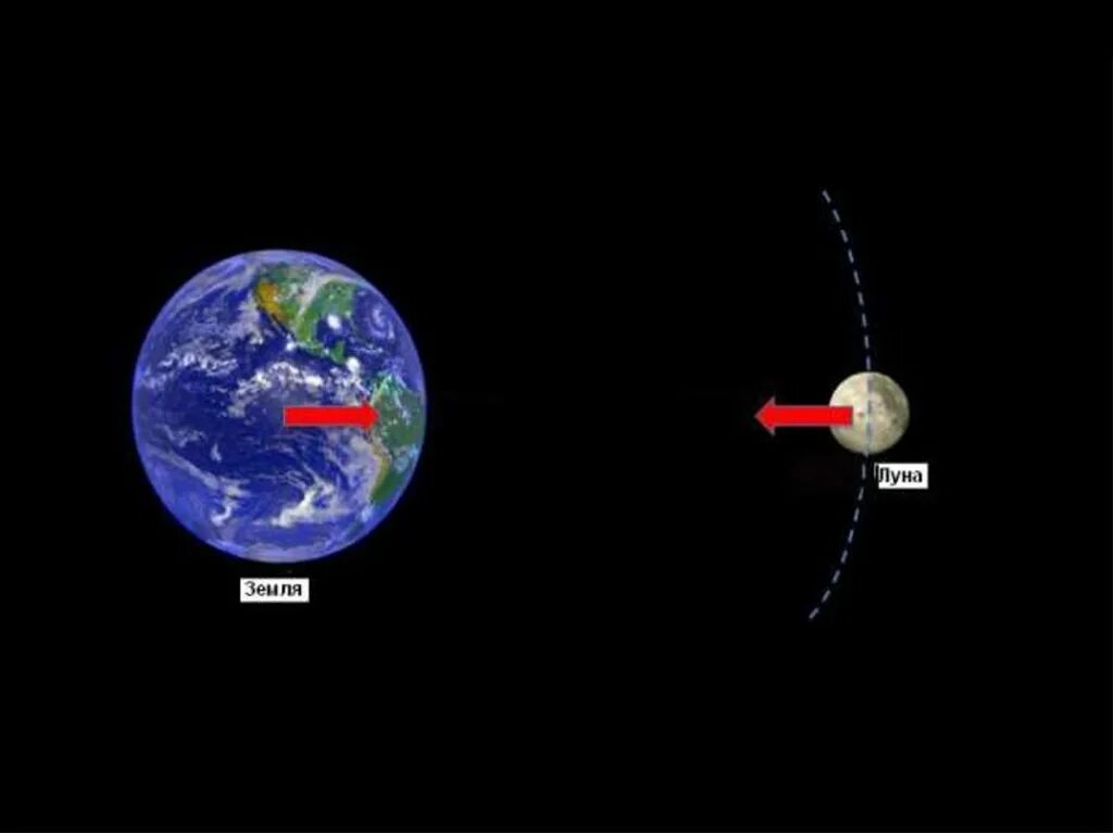 Притяжение Луны к земле. Сила притяжения между землей и луной. Сила тяготения земли и Луны. Луна и земля. Почему земное притяжение