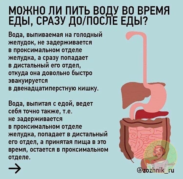 На голодный желудок 2. Голодный желудок. Можно пить воду после еды. После еды нельзя пить воду.