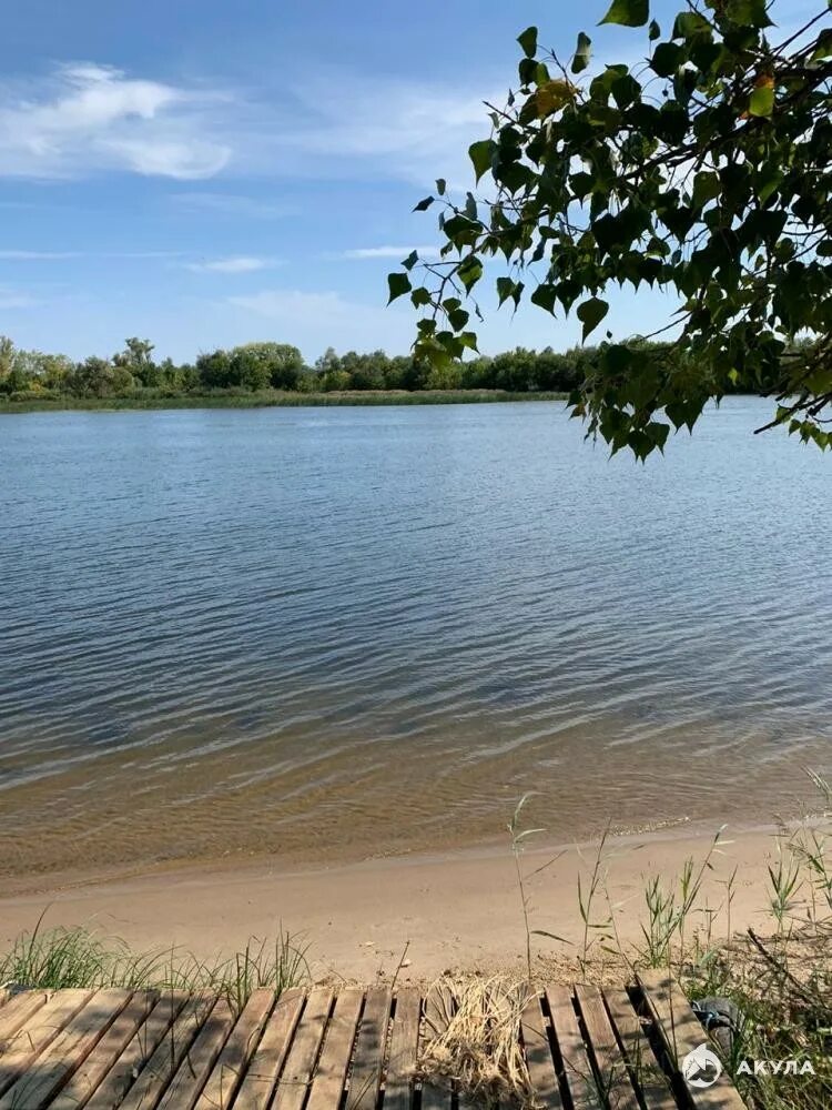 Село чардым. Чардым село. Чардым дубрава. Волга чардым. Село чардым.