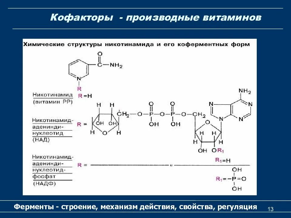 Производные коферменты витамина b3. Малатдегидрогеназа кофермент витамина. Строение коферментов биохимия. Витамины коферменты биохимия. Ферменты коферменты витамины