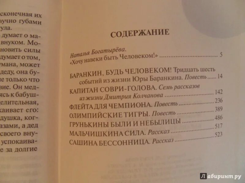 5 утра книга сколько страниц. Баранкин будь человеком сколько страниц в книге. Баранкин будь человеком сколько страниц. Баранкин будь человеком содержание книги. Медведев Баранкин будь человеком сколько страниц в книге.